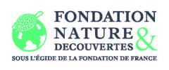 FONDATION LOGO CMJN vert