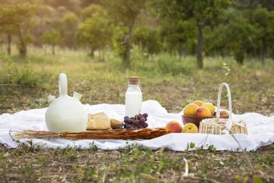 rural life concept with picnic outdoors